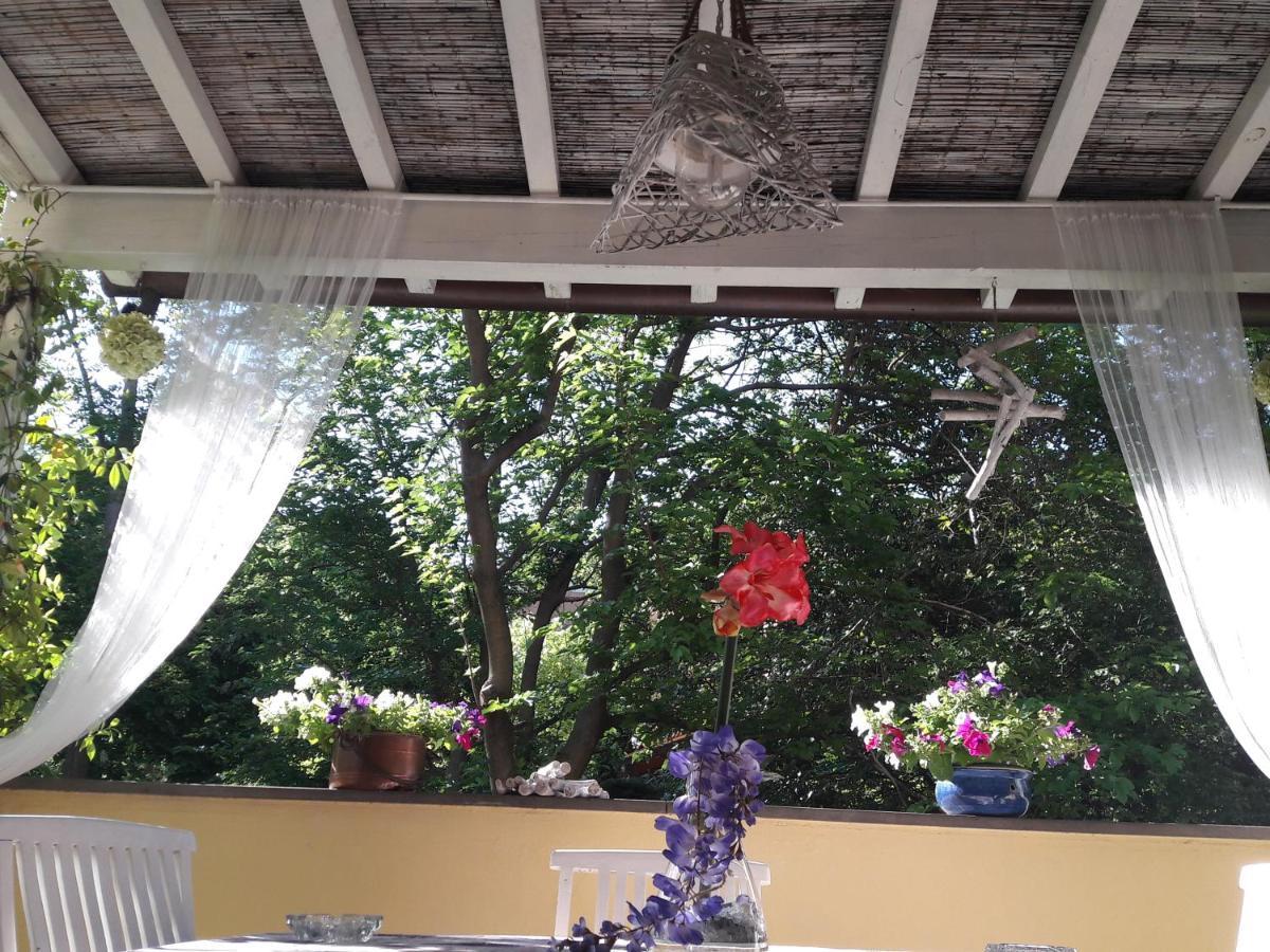 Stella Del Mar Bed & Breakfast Bologna Bagian luar foto