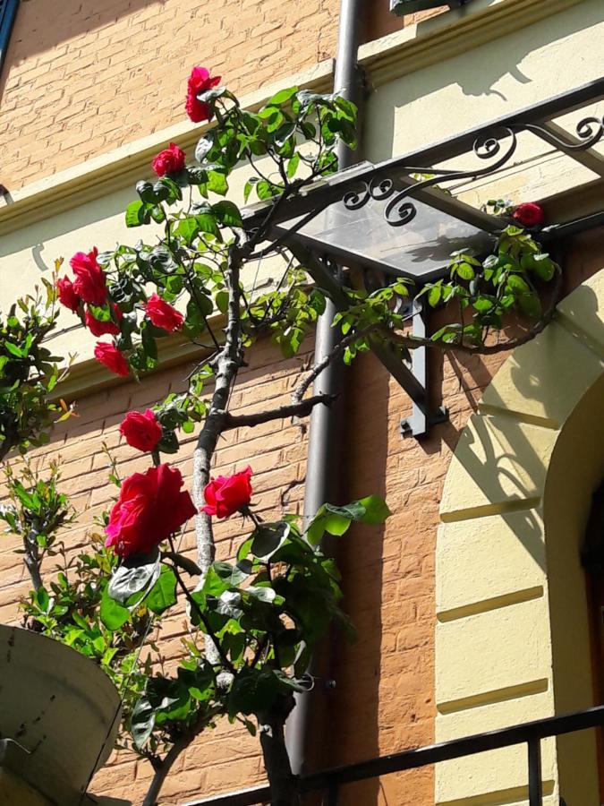Stella Del Mar Bed & Breakfast Bologna Bagian luar foto