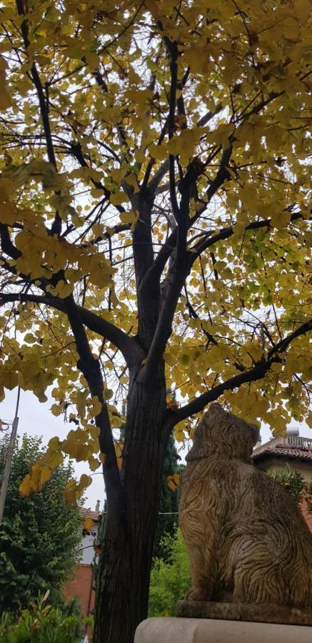 Stella Del Mar Bed & Breakfast Bologna Bagian luar foto