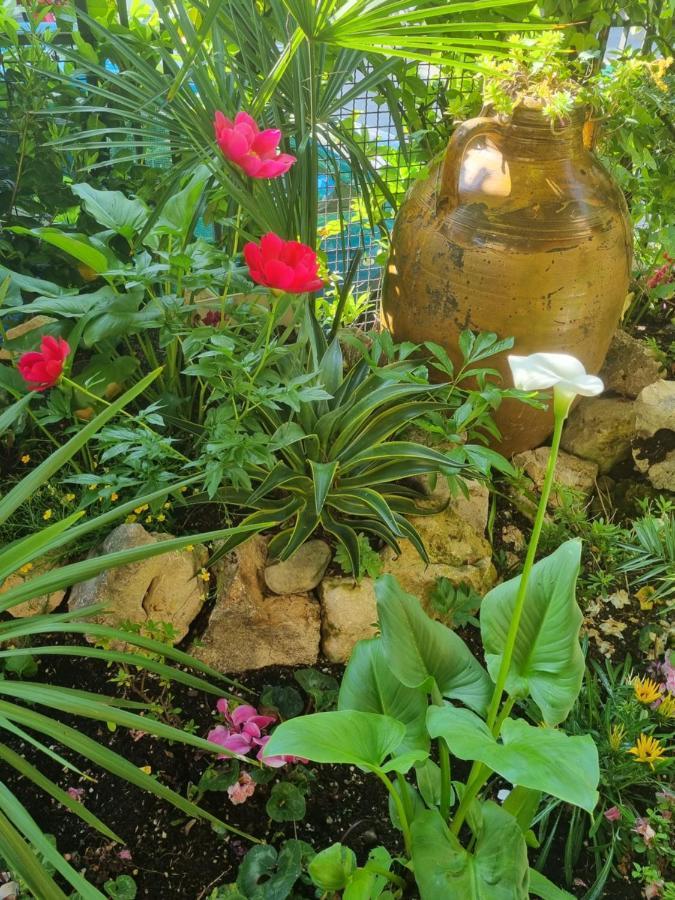 Stella Del Mar Bed & Breakfast Bologna Bagian luar foto