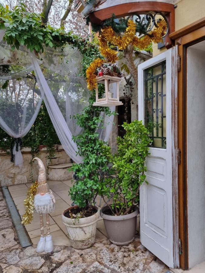Stella Del Mar Bed & Breakfast Bologna Bagian luar foto